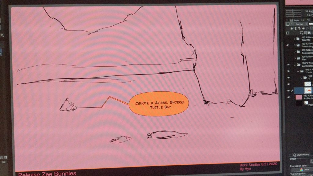 Drawing plan 55 Cenote & Akumal Snorkel Turtle Bay