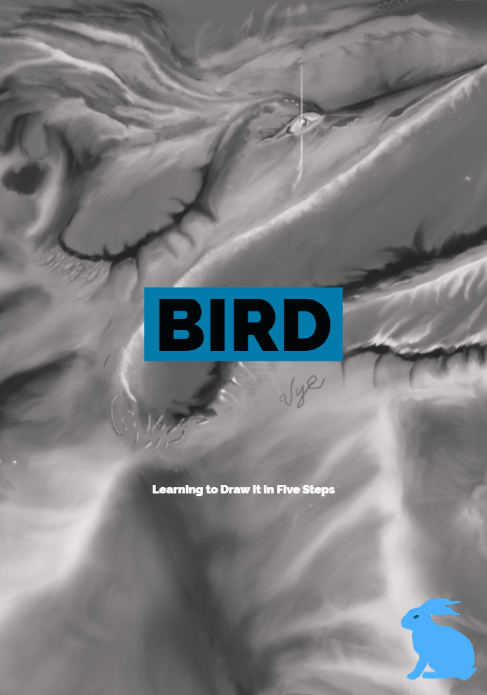 Bird Learning to Draw it in Five Steps