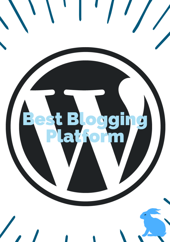 Art Blog: What is the Best&nbsp;Platform?