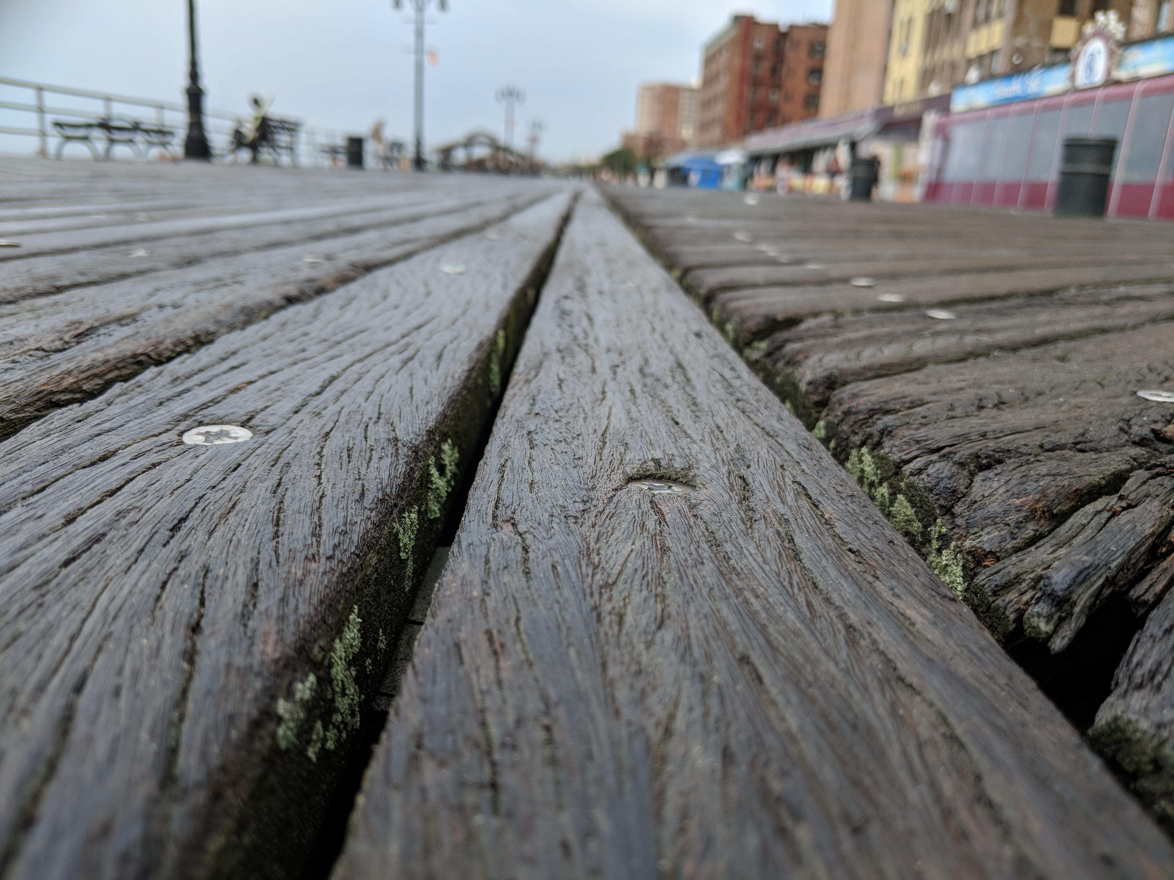 Wet Wooden Planks - Boardwalk